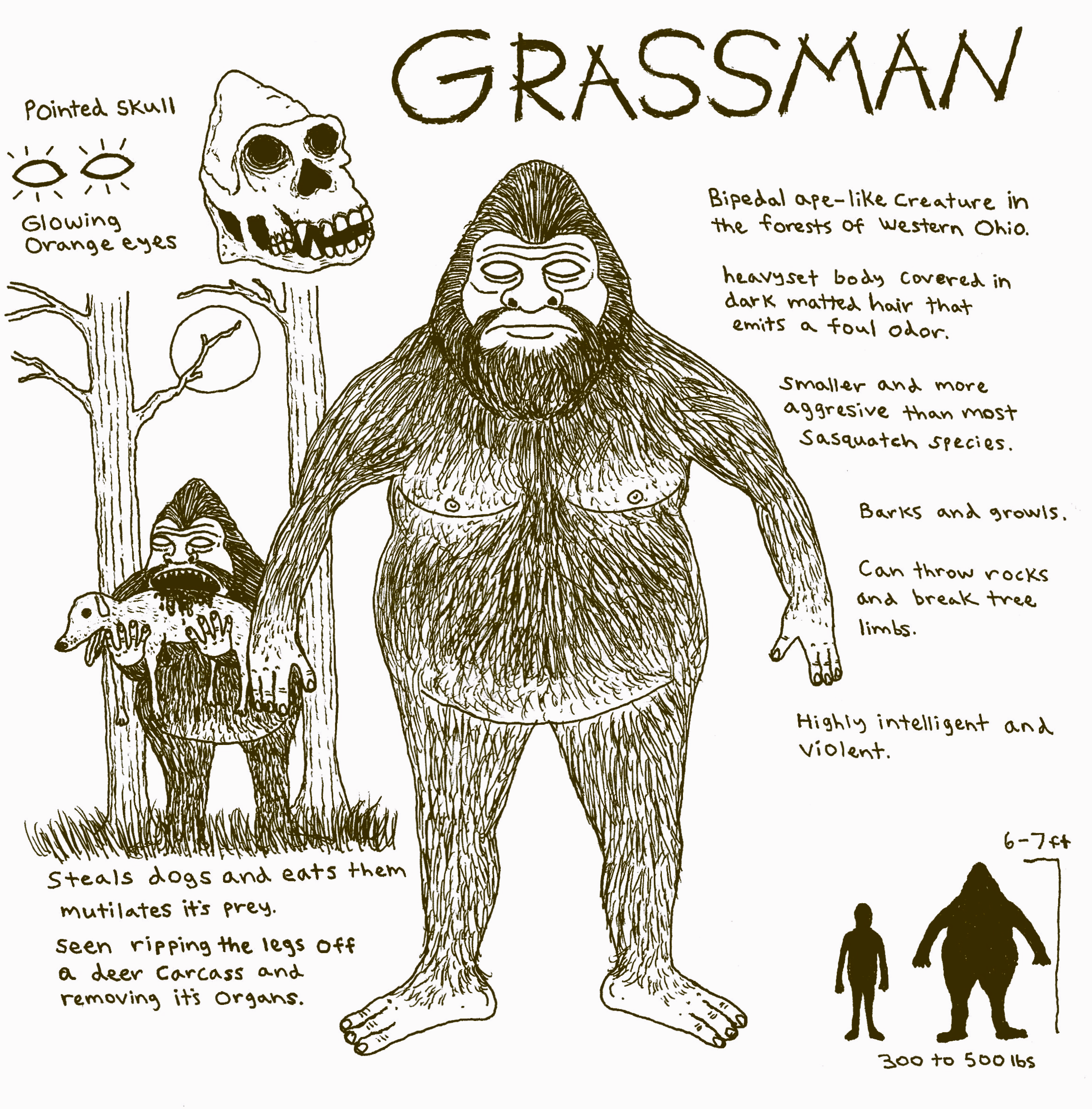 Grassman Rendering