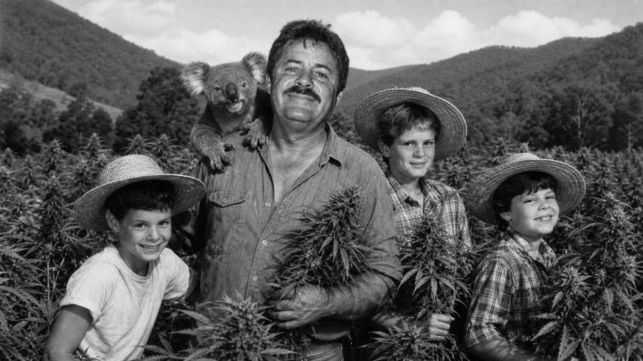 Koala Bear Food Farming